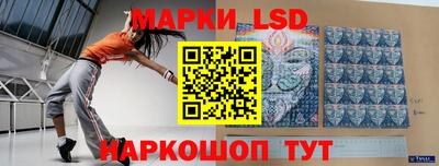 прущие грибы Сланцы