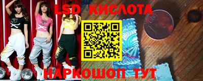 дмт Славгород