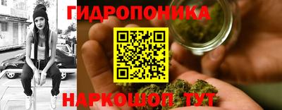 прущие грибы Сланцы