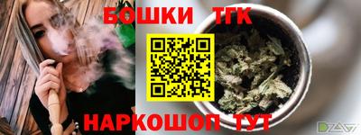 прущие грибы Сланцы
