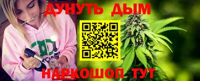 дмт Славгород