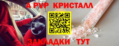 дмт Славгород