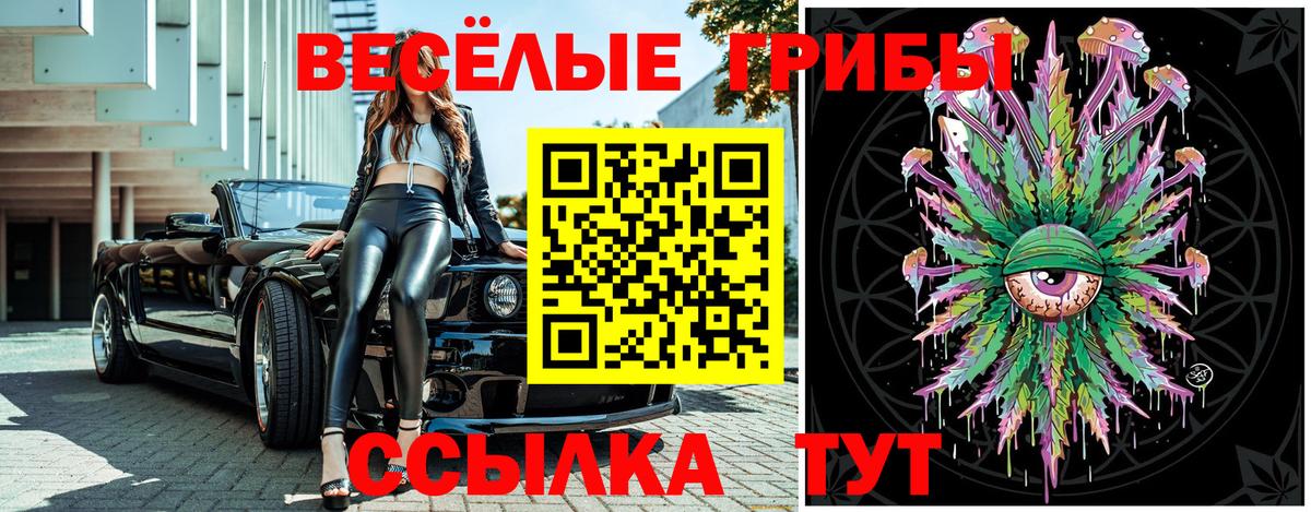Галлюциногенные грибы мицелий  Вход с VPN  Галлюциногенные грибы мицелий  наркотики  Тобольск 