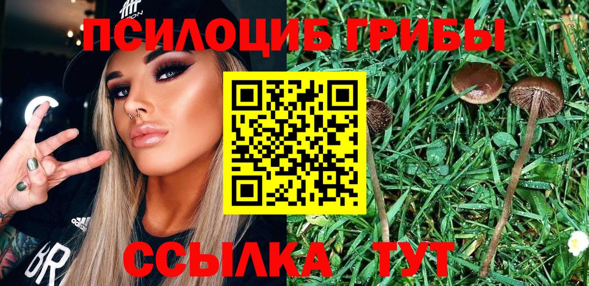 Псилоцибиновые грибы мухоморы Тобольск